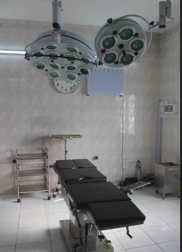 Brazzaville-Elikia-1